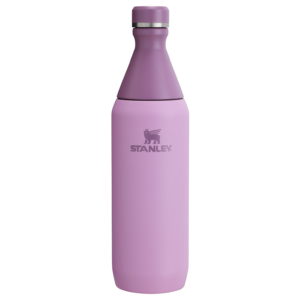 All Day Slim Bottle | 20 OZ - Stanley Create